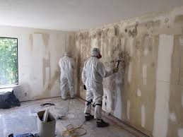 Best Industrial Mold Remediation  in West Point, GA